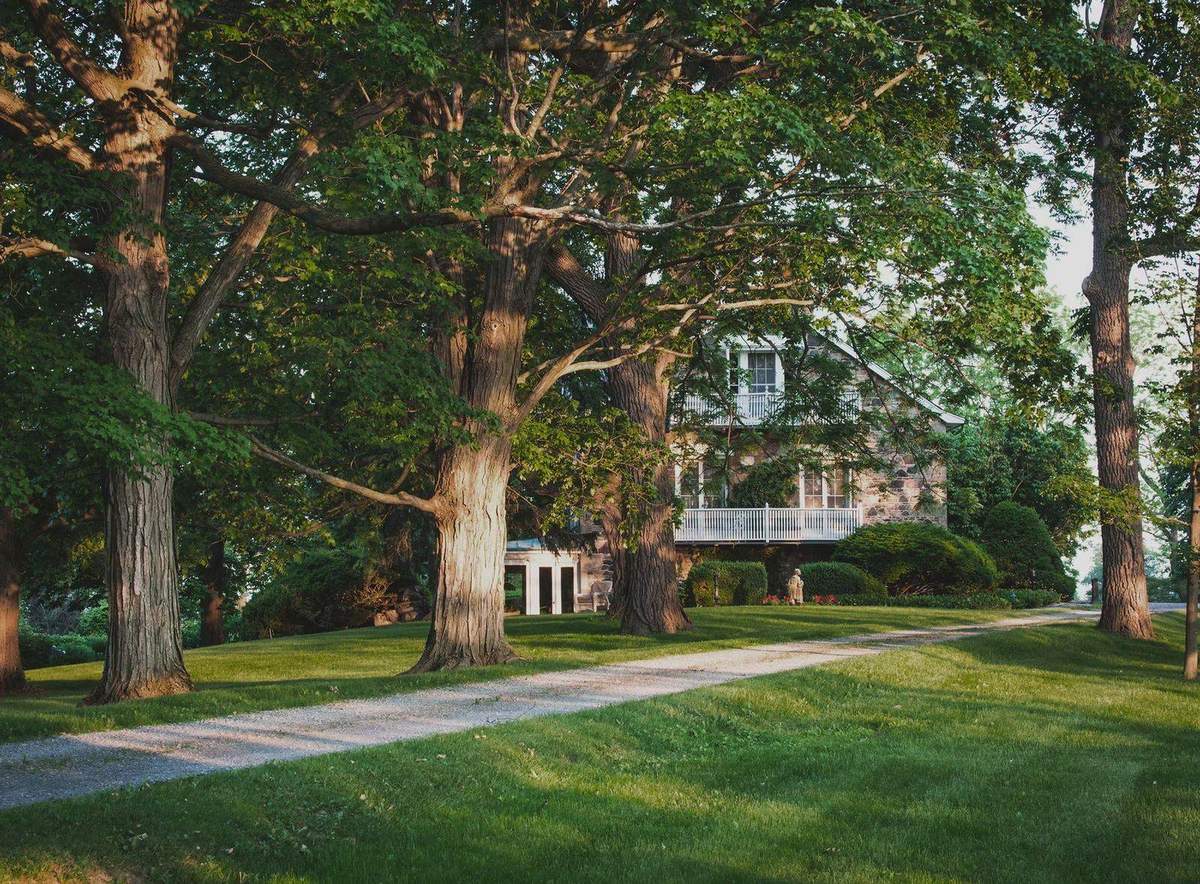 Large green residential lawn in Guelph