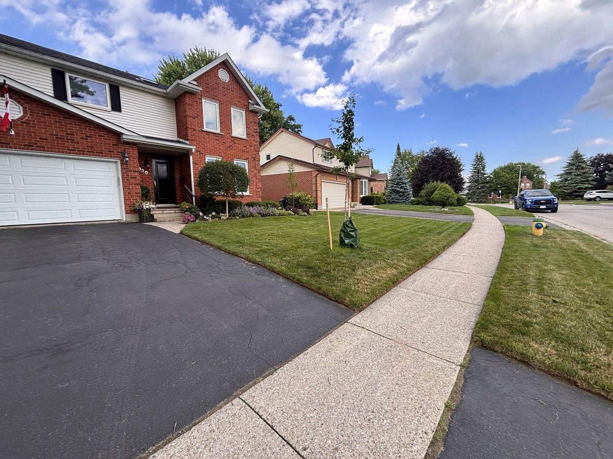 Sharp, defined lawn edges along a Guelph curb and walkway