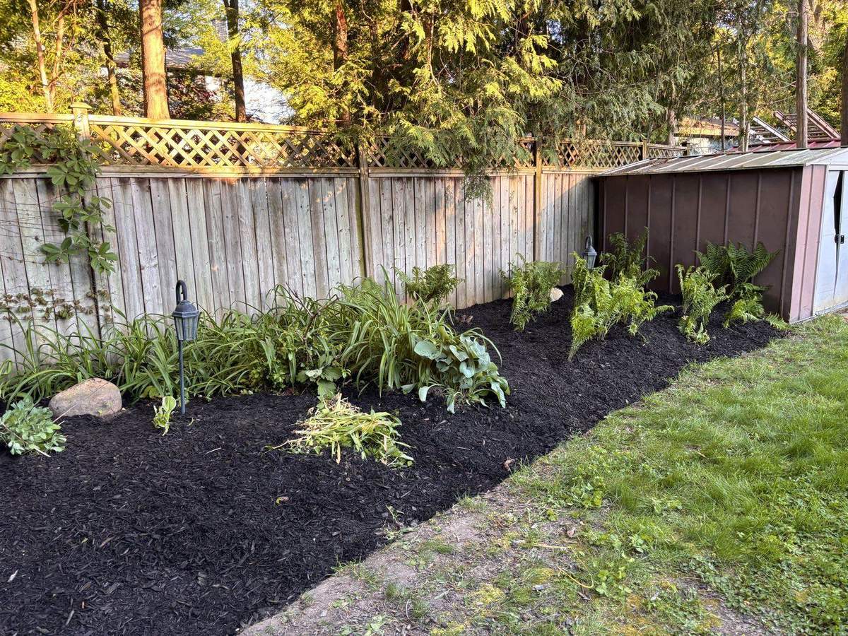 Cleaned and mulched garden beds in Guelph