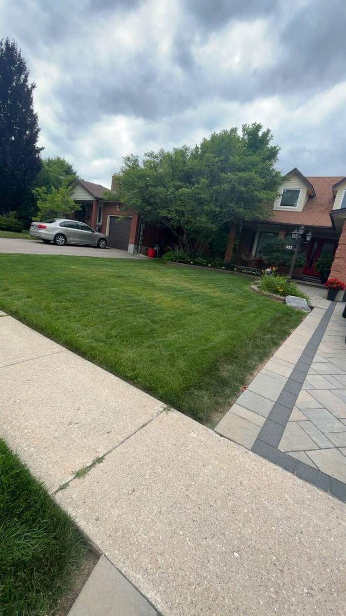 Freshly cut front lawn beside an interlock walkway in Guelph