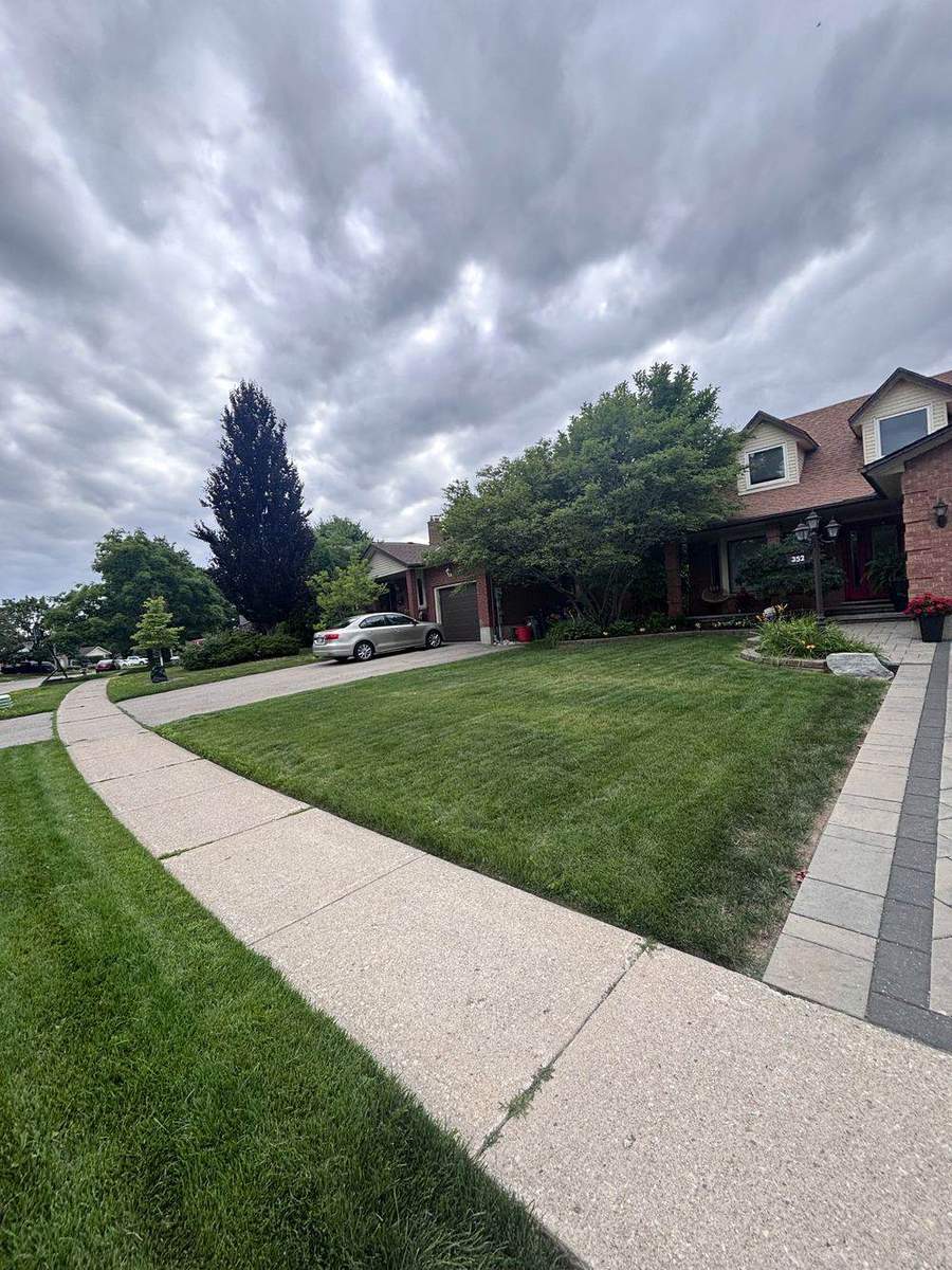 A Yardex client lawn in Guelph