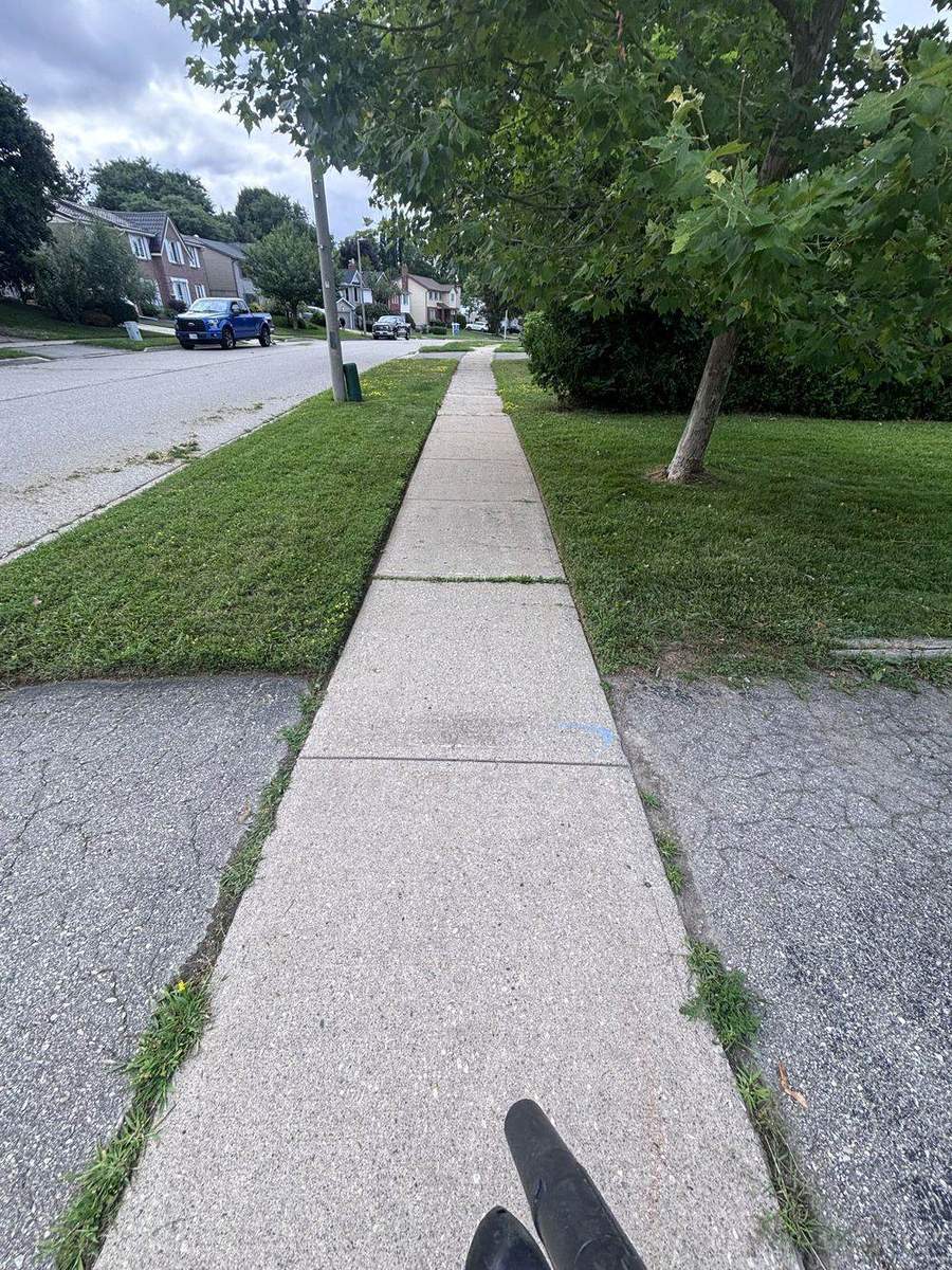Striped residential lawn maintained by Yardex in Guelph