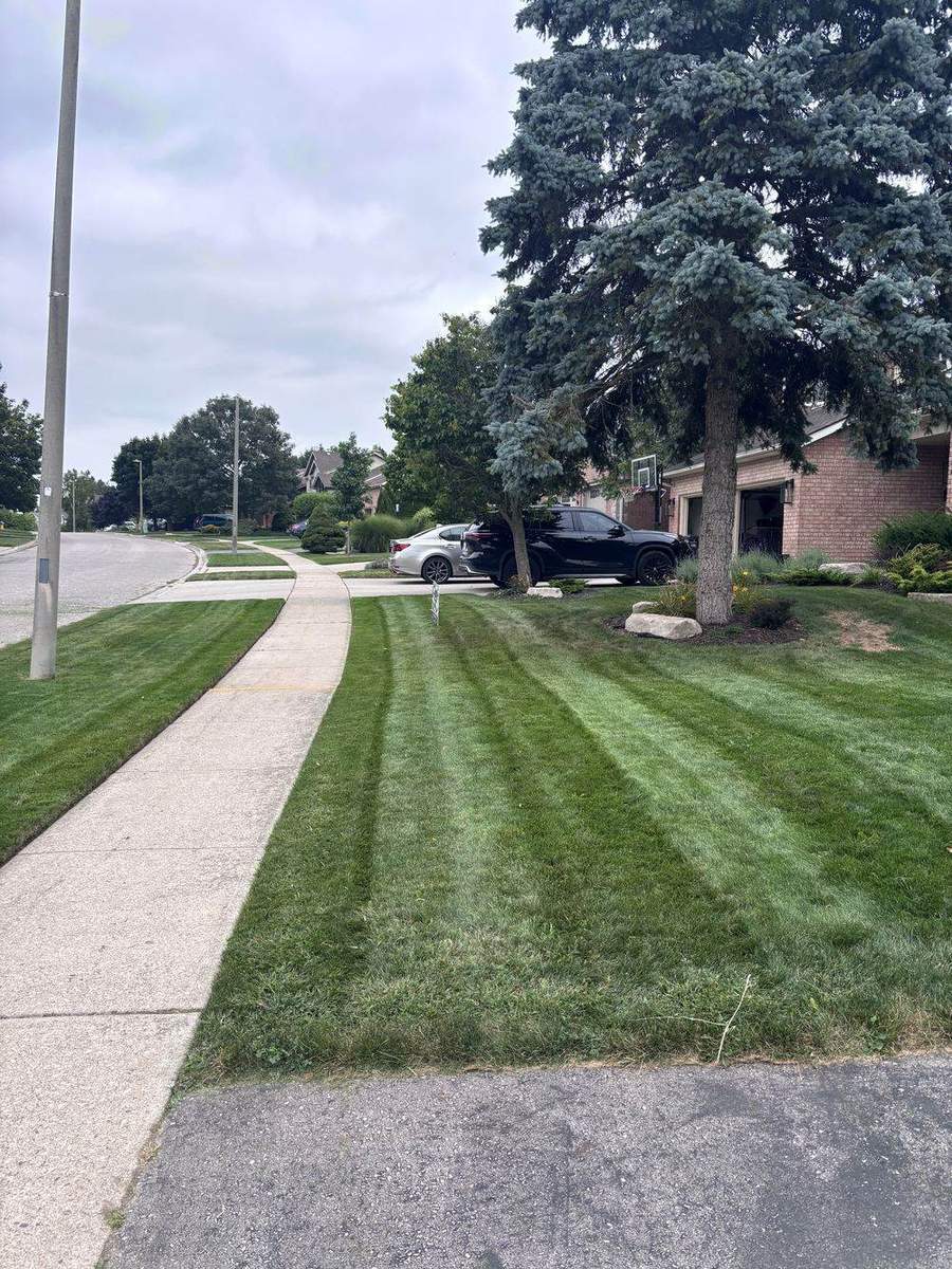 Freshly striped lawn at a Guelph home