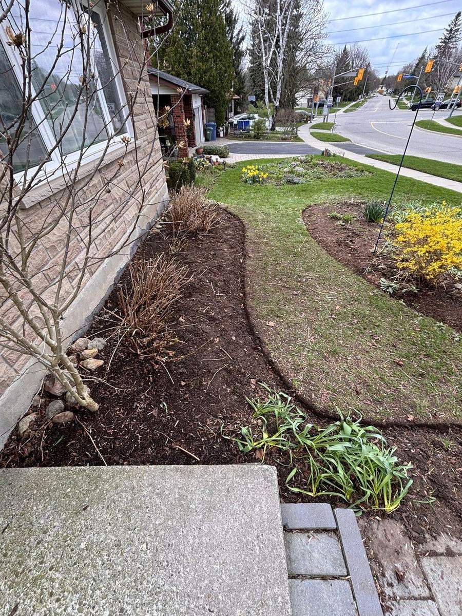 How to Fix a Patchy, Thin Lawn in Guelph — Yardex Guelph