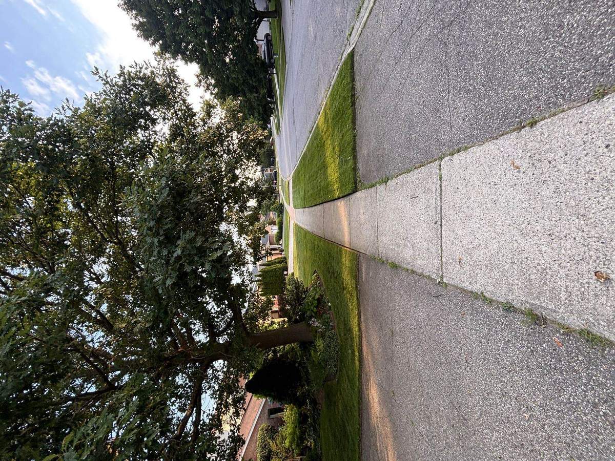 Crisp lawn edge along a Guelph sidewalk